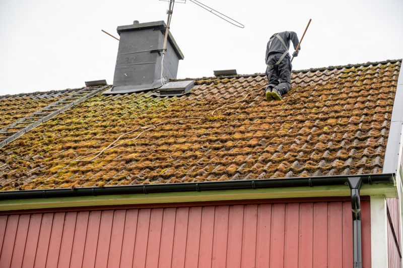 Roof Maintenance