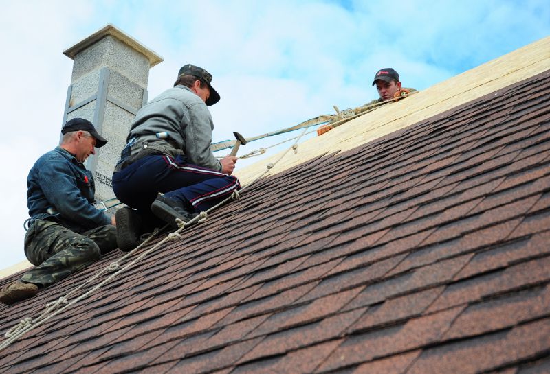 Professional Roofing Service
